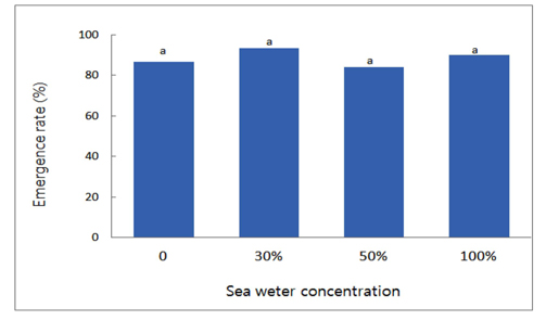 Effects for emergence of barley according to the application concentration of sea water. Sea water was applied foliar on pre-emergence of barley. Data collection was on Oct. 20, 2012. Means with the same letters within the bars are not significantly different at p = 0.05 level in DMRT test.