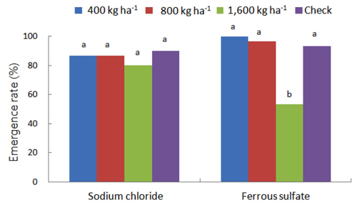 Effects for emergence of barley according the application rate of sodium chloride and ferrous sulfate application. Sodium chloride and ferrous sulfate was applied on 5 days before sowing of barley (Apr. 13). Data collection was on Oct. 20, 2012. Means with the same letters over the bars are not significantly different at p = 0.05 level in DMRT test.