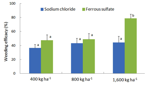 Weeding efficacy according to application rate of sodium chloride and ferrous sulfate. Data collection was on Nov. 19, 2012. Error bars indicated standard deviation and means with the same letters within the bars are not significantly different at p = 0.05 level in DMRT test.