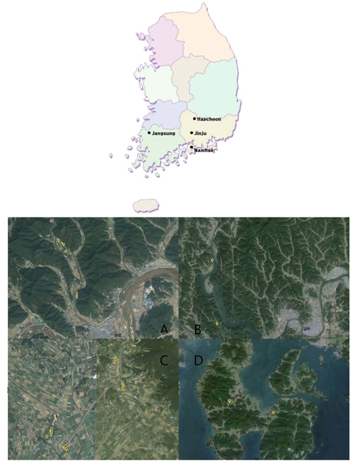 Survey sites of turf sod insect pests in Korea. Black dot in yellow pin point were survey sites. Map was download from google (https://maps.google.co.kr) and modified. A: Hapcheon, B: Jinju, C: Jangsung, D: Namhae.
