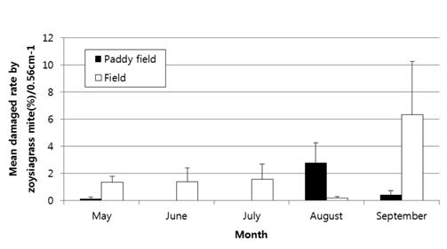 Damaged rate by zoysia mite depending on field type in turf sod cultivation area in Jangsung, Cheonnam, Korea. Mean ±Stand error.