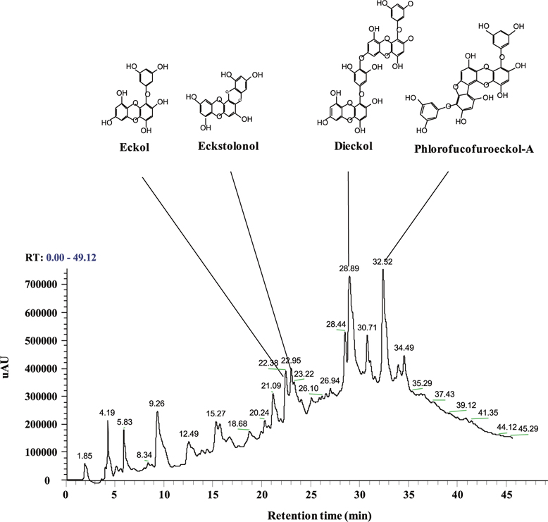 High-performance liquid chromatography (HPLC) chromatogram and HPLC-diode array detection / electrospray ionization mass spectrometryspectra of ethyl acetate fraction from Ecklonia cava processing by-product.