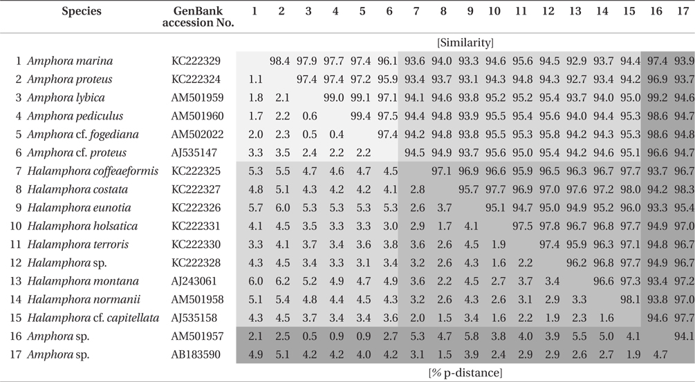 Similarity score and genetic distance of 17 pairs aligned Amphora sensu lato nuclear SSU rDNA sequence (1,667 bp)