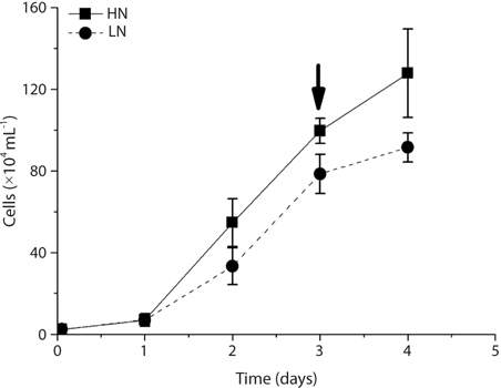 Cell concentrations of Skeletonema costatum grown in N-replete (HN) or N-starved (LN) conditions during the cultured period. The arrow indicates that the culture was taken and diluted to 3-4 × 104 cell mL-1 in the evening before the outdoor experiments next morning. Vertical bars represent the standard deviations (n = 3).