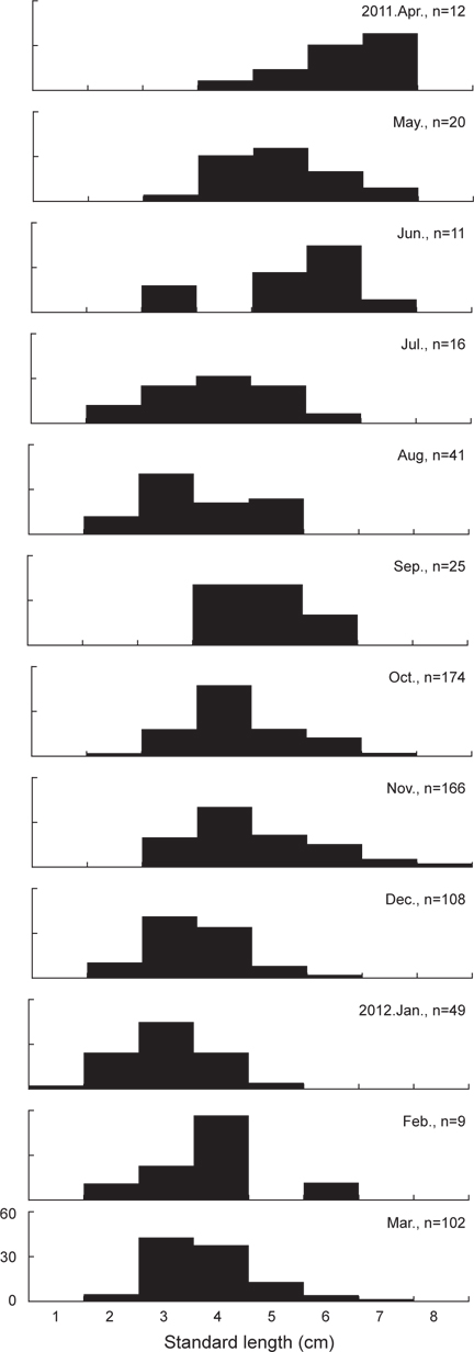 Monthly variation in standard length frequency of Tridentiger bifasciatus.