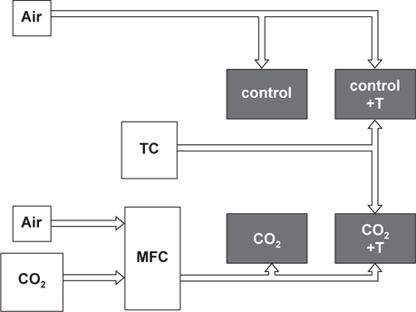 Schematic of experimental design outlining CO2 manipulation setup. MFC, Mass Flow Controller; TC, Temperature Controller.