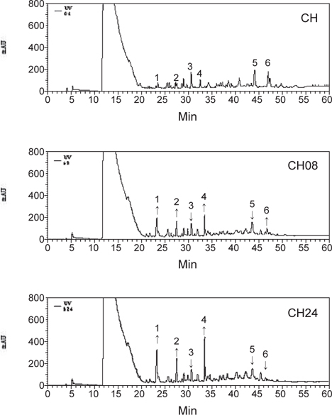 Reverse-phase HPLC profile of tryptic casein hydrolysates treated with GF-I fraction Illex argentinus for different hydrolysis times. CH, casein hydrolysate; CH08, casein hydrolysate treated with GF-I for 8 h; CH24, casein hydrolysate treated with GF-I for 24 h.
