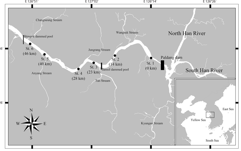Map showing investigated sites in the lower Han River. Sampling sites are described in terms of distance downstream (km) from St. 1 (0 km).
