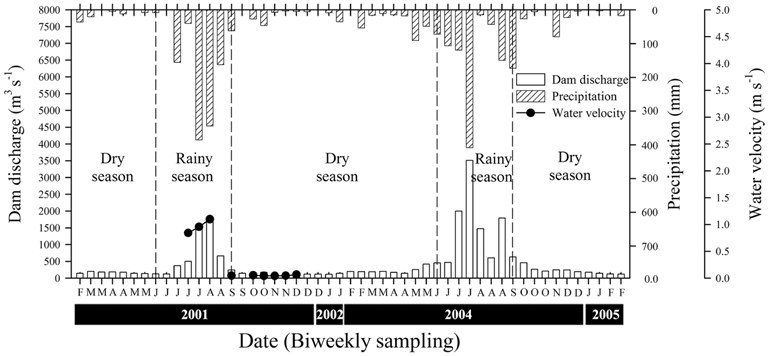 Changes in precipitation, dam discharge, and water velocity in the lower Han River in the investigated periods.