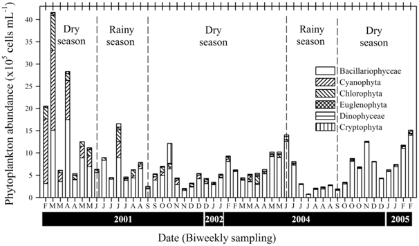Changes in phytoplankton abundance in the lower Han River in the investigated periods.