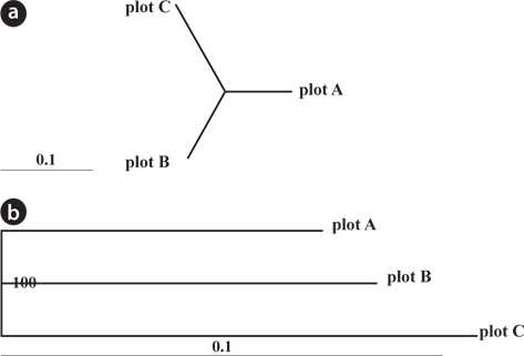 (a) Neighbor-joining tree and (b) dendrogram of Robinia pseudoacacia in Plots A, B, and C. Bar 0.1 indicates genetic distance between Plots. 100 means 100 % of bootstrap probability (No. of bootstrap test is 1,000).