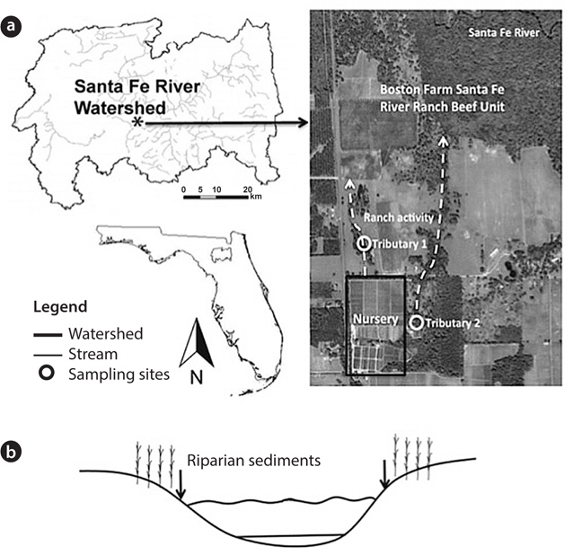 Overview of sampling sites in the Boston Farm Santa Fe Ranch Beef Unit Research Center (a) and riparian sediments (b) of the Santa Fe River Watershed, northern Alachua County, Florida.