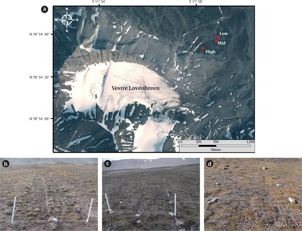 (a) A map showing the location of three sites (red dots; Low, Mid, and High) in Ny-Alesund. The image is a subset of aerial photograph S2009 13822 641, ⓒ Norwegian Polar Institute. Photos from three study sites (b) High, (c) Mid, and (d) Low sites.