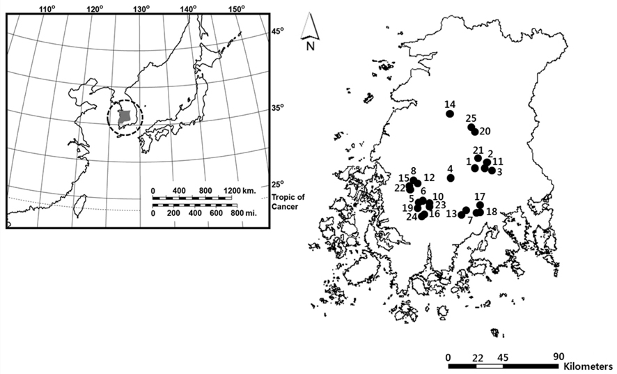 Map showing the study sites in the southwestern region of South Korea. The left map shows the Korean Peninsula, and the gray part (enclosed in the dotted circle) is the Yeongsan River basin. The right map is the river basin with the locations of the study sites (black dots; numbers indicate the serial number of study sites corresponding to Table 1).