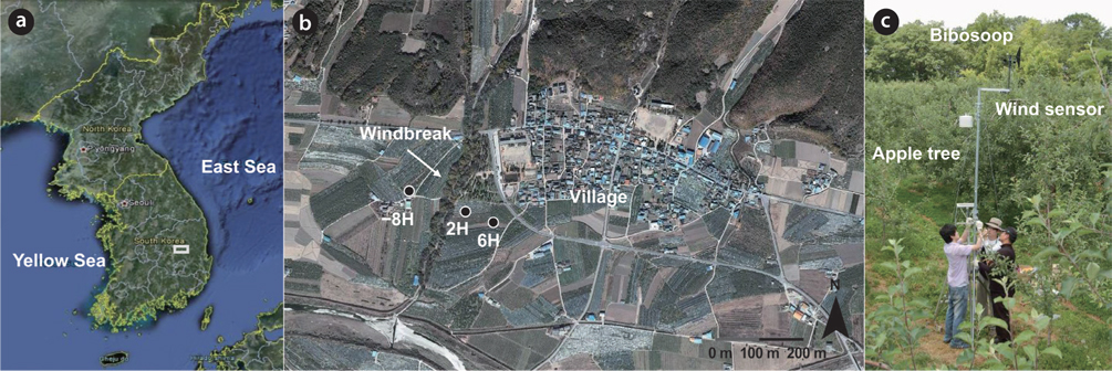 Study site description. (a) The location of study site (white box) in Sachon-ri, Uiseong-gun, Korea, (b) an aerial photograph of the three measurement locations of wind speed and direction in windward side (？8H, H = 20 m) and in leeward side (2H and 6H) of the deciduous windbreak on (captured 2010 from Daum map, http://map.daum.net), and (c) a photo of the automatic weather station installation at 2H (captured on 02 June 2007 by D. Lee).