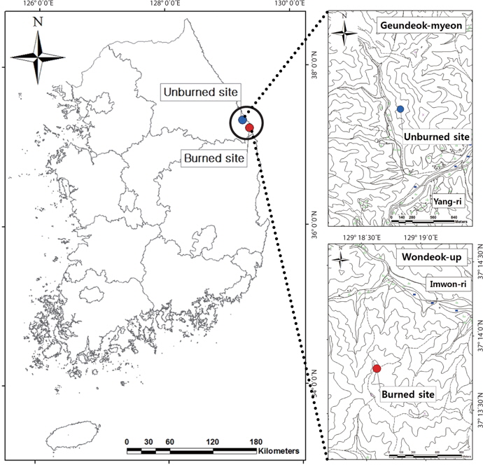 Map of the study area in Samcheok-si, Gangwon-do (blue dot indicates unburned study site; red dot, burned study site).