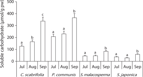 Changes in soluble carbohydrate content in leaves of Carex scabrifolia, Phragmites communis, Suaeda malacosperma, and S. japonica between July and September in 2011. The different letters indicate significant differences from Duncan’s test for the response of species separately (P < 0.05, N = 3); pw, plant water content.