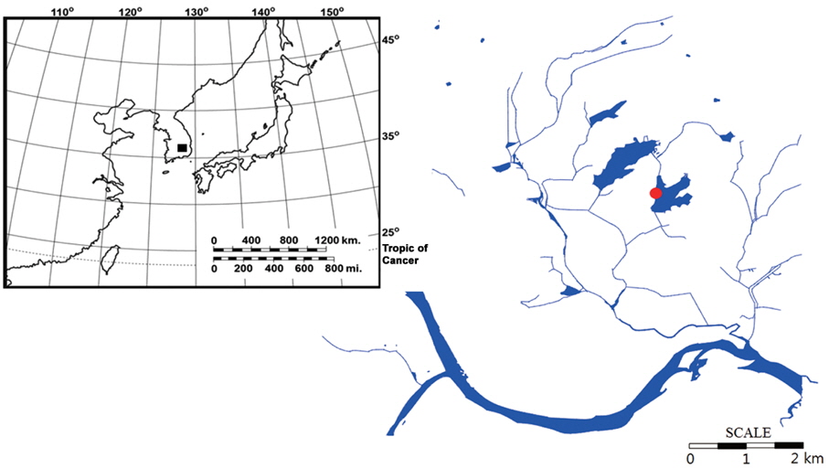 Map of the study sites. The study sites are indicated as quadrangle (■) and located in the southeastern part of South Korea. The left map in the upper right-hand corner shows the Korean Peninsula, and the right map show the around of the lake include Jangcheok lake. Red circle (●) indicates the sampling point.