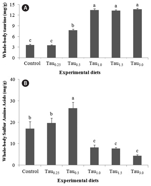 (A) Taurine and (B) sulfur amino acids (methionine plus cysteine) contents in whole-body of juvenile rock bream fed experimental diets prepared by adding taurine at 0%, 0.25%, 0.5%, 1.0%, 1.5% and 3.0% (Control, Tau0.25, Tau0.5, Tau1.0, Tau1.5, and Tau3.0, respectively). Different letter on each bar represents significant difference (P < 0.05). Error bars represent standard deviation.