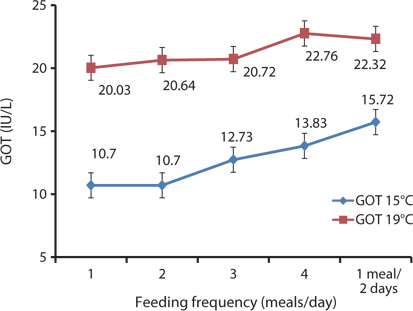 Glutamic oxaloacetic transaminase (GOT) of growing Korean rockfish with different feeding frequencies at 15°C and 19°C (IU/L = international units per liter). Error bars represent standard deviation.