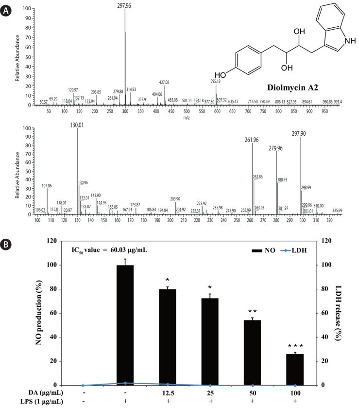 Mass spectrometry (MS) and MS/MS analysis data (A) and anti-oxidative effect (B) of diolmycin A2 from the secondary metabolite fraction of B. badius. The production of nitric oxide (NO) was assayed in the culture medium of cells stimulated with lipopolysaccharide (LPS, 1 μg/mL) for 24 h in the presence of diolmycin A2. Cytotoxicity was determined using the lactate dehydrogenase (LDH) method. Experiments were performed in triplicate and the data are expressed as mean ± standard errors. *P < 0.1, **P < 0.05, ***P < 0.01.