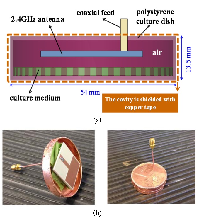 Proposed microwave cavity for in vitro hyperthermia investigations: (a) cavity cross-section with radiating antenna and (b) photos of the fabricated prototype.