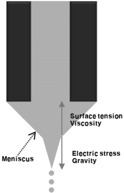 The effect of forces in the nozzle for electrostatic printing.
