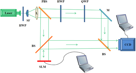 Schematic diagram of the setup about two-step phaseshifting method. L: lens, M: mirror, SF: spatial filter, BS: beam splitter, PBS: polarizing beam splitter, HWP: half waveplate, QWP: quarter waveplate, SLM: spatial light modulator.
