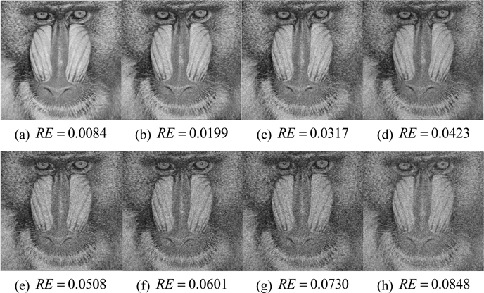Reconstructed Baboon images with different RE values.