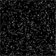 Simulated speckled image.