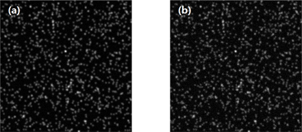 Noise-added simulated speckle images (a) mean is 0 and variance is 0.2, (b) mean is 0 and variance is 0.5.