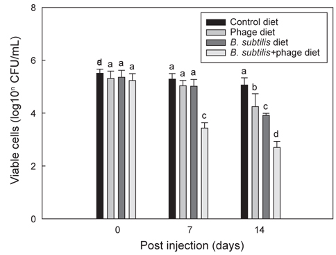 Antibacterial effect of phage and B. subtilis supplemented diet fed for 14 days after E. tarda injection. Data represent the mean±S.D. (n=4). Different letters above the bars indicate significant differences (P<0.05).