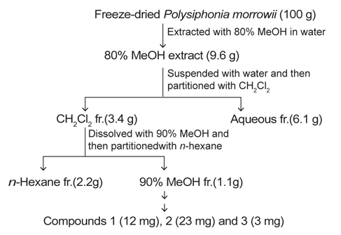 Extraction, fractionation and isolation for Polysiphonia morrowii.