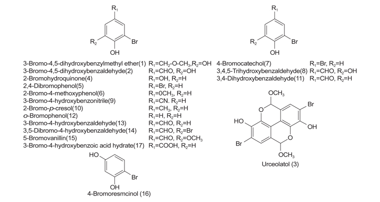 Chemical structures of 17 bromophenol derivatives including isolated natural bromophenols (1-3).