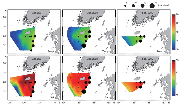 Distribution of Todarodes pacificus paralarvae in the survey area during winter (April 2004, April 2008 and February 2009). Water temperature (℃) and salinity (psu) at 50 m depth were superimposed. Crosses indicate no catch.