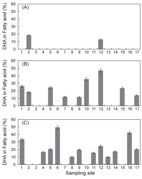 Mean percentage DHA of Thraustochytrid isolates collected from (A) sea water (B) sediments and (C) algae grown at 25℃ for 3 days at 120 rpm in GYEP medium.