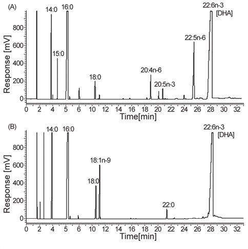 Gas chromatogram of fatty acid methyl esters from (A) B-12: Schizochytrium mangrovei and (B) C-6: Crypthecodium cohnii