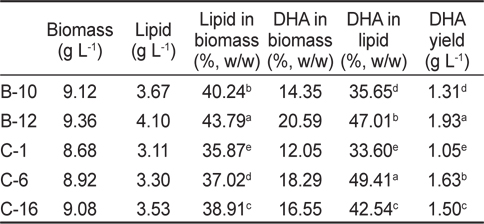 Biomass, lipid and DHA production of isolated species culture