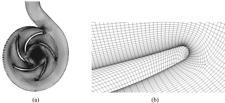 Pump computational grids (a) and grid refinement on blade (b).