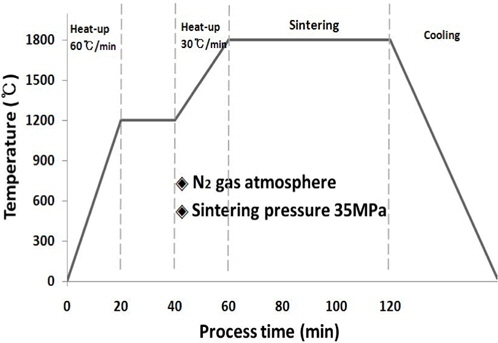 Schematic illustration of sintering process
