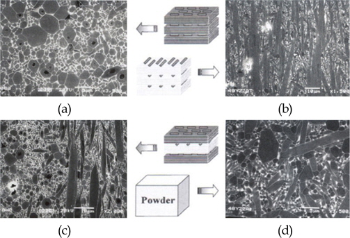 Microstructure as orientation of sintered Si3N4 with whisker seeds