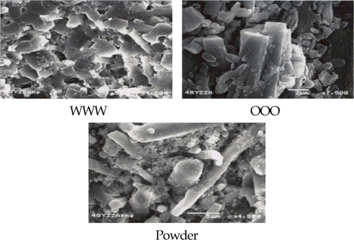 SEM micrographs of the fracture surface of samples WWW, OOO, and Powder after high temperature flexural strengths