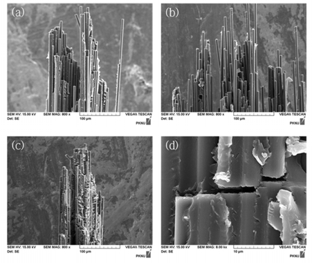 SEM micrographs of tensile fracture surface of the specimen after 120days in saline water at 80℃ (a) CFRP (b) CNT/CFRP (c) TiO2/CFRP (d) micro crack