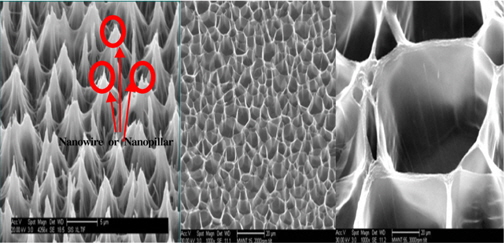 Nano-patterned CNT structures