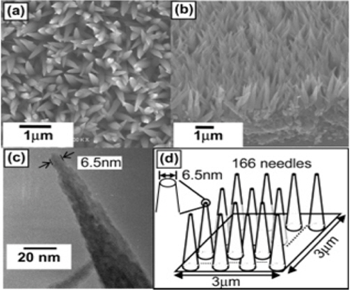 Superhydrophobic nanopin film from a solution of CoCl2 and (NH2)2CO in water by CBD (a), (b) SEM images (c) TEM image (d) Needle structures (Hosono et al., 2005)