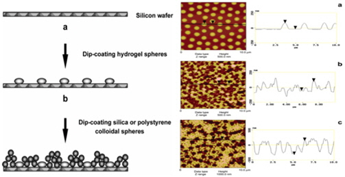 Super-hydrophobic surface from binary colloidal assembly (Zhang et al., 2005)