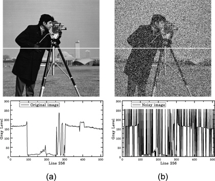 Cameraman (a) Original image (b) Noisy image (p=45%)7