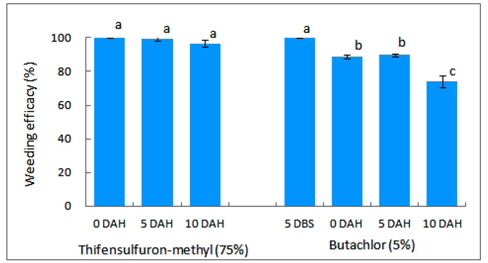 Control effects of water foxtail according to the application times of thifensulfuron-methyl and butachlor in the field sowing barley seeds before rice harvesting. Thifensulfuronmethyl (75%) was applied foliar spray 3 times interval 5 days from Oct. 21, 2012. Butachlor (5%) was applied soil space on 5 DBS (Oct. 16) and 3 times interval 5 days from Oct. 21, 2012. Data collection was on Mar. 31, 2013. DAH: Days after harvest; DBS: Days before sowing. Error bars indicated standard deviation and different letters indicate significant different at p = 0.05 level according to DMRT test.