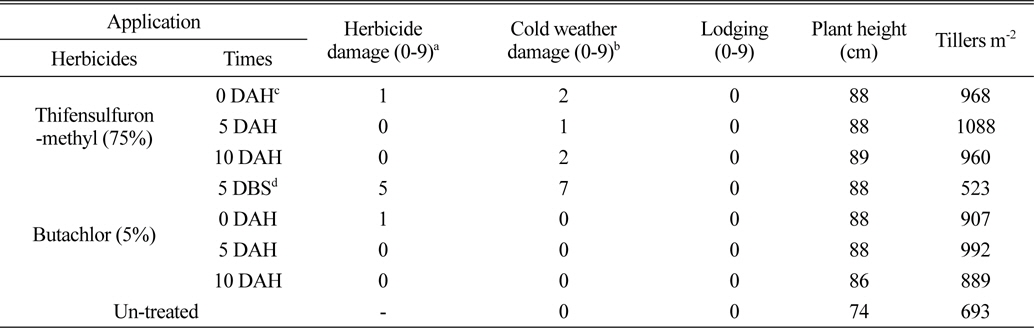 Damage and growth according to application times of thifensulfuron-methyl and butachlor in the field sowing wheat seeds before rice harvesting.