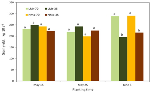 Soybean grain yield at harvest according to planting date and soil covering in 2010, LMr : Rye living mulch without herbicide. NMa : No mulch with alachlor, 35, 70 : Soybean row width(cm). Values followed by the same letters are not significantly difference at P=0.05 level according to LSD test.